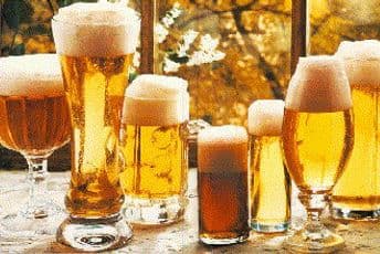 Zbog čega volimo pivo?