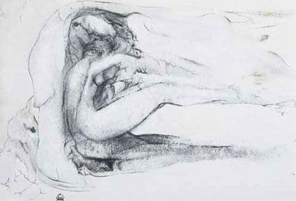 Crteži Cila Vušovića u Perjaničkom domu Crteži Cila Vušovića u Perjaničkom domu