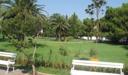 DIVANOVIĆ: Skulptura Stevana Luketića i drvored za ljepšu Budvu DIVANOVIĆ: Skulptura Stevana Luketića i drvored za ljepšu Budvu