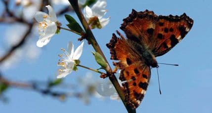 Slaba kiša ponegdje, do 23 stepena Slaba kiša ponegdje, do 23 stepena