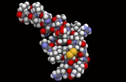 Otkriven novi hormon sreće! Otkriven novi hormon sreće!