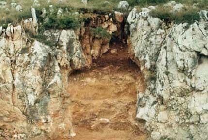 Istraživanja Trlice: Otkriveni ostaci afričkog psa i vrste nepoznate nauci Istraživanja Trlice: Otkriveni ostaci afričkog psa i vrste nepoznate nauci