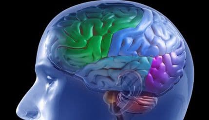 Razvijen sistem za predviđanje epileptičnih napada Razvijen sistem za predviđanje epileptičnih napada