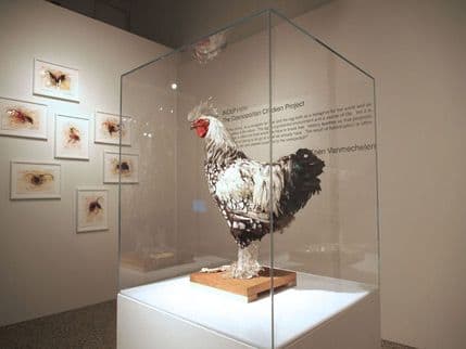 Belgija dobija najmanji muzej na svijetu Belgija dobija najmanji muzej na svijetu