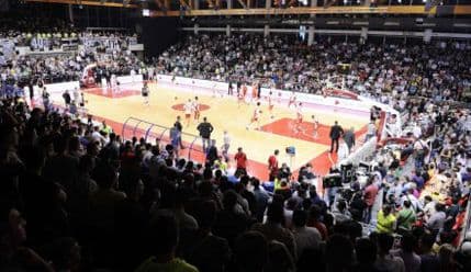 Zvezda povlači igrače iz reprezentacije?! Zvezda povlači igrače iz reprezentacije?!