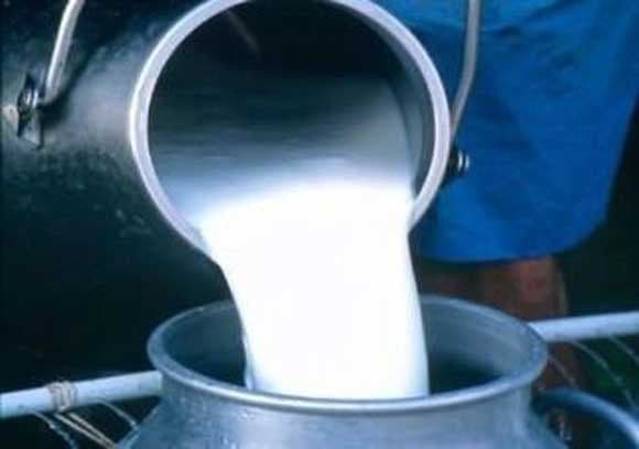 Mljekari odgodili protest Mljekari odgodili protest