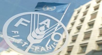 FAO: Jedite zdravo - jedite insekte! FAO: Jedite zdravo - jedite insekte!