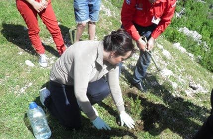 Očišćen lokalitet Ševrlja kod Cetinja Očišćen lokalitet Ševrlja kod Cetinja