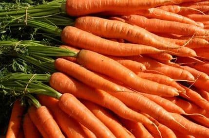 Francuska policija našla dvije tone kanabisa u tovaru šargarepe Francuska policija našla dvije tone kanabisa u tovaru šargarepe