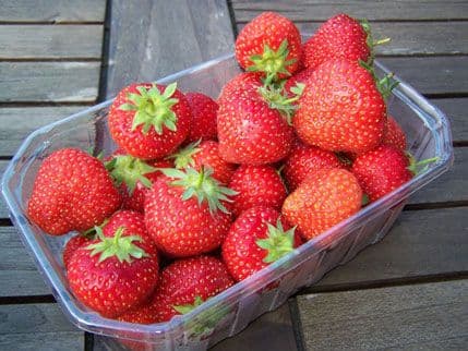 Kilogram jagoda na dan za zdraviji život Kilogram jagoda na dan za zdraviji život