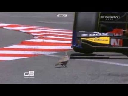 VIDEO: Za dlaku izbjegla smrt VIDEO: Za dlaku izbjegla smrt