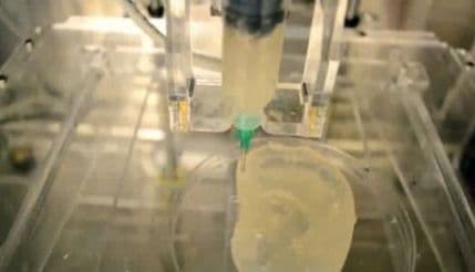 VIDEO: Bioničko uvo nastalo pomoću 3D štampača čuje bolje od ljudskog VIDEO: Bioničko uvo nastalo pomoću 3D štampača čuje bolje od ljudskog