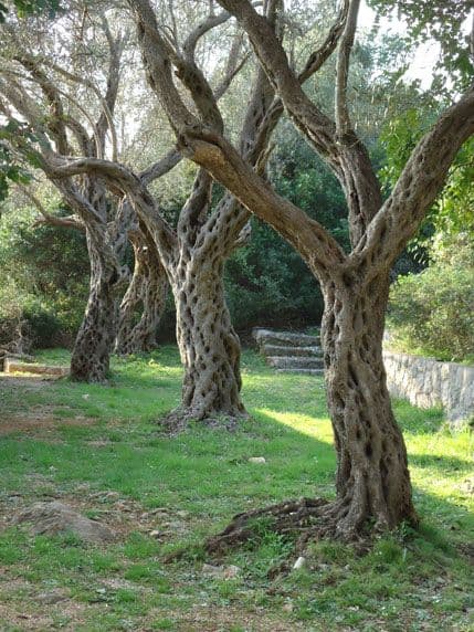Boka na fotografijama Jasne Brković u KIC-u Boka na fotografijama Jasne Brković u KIC-u