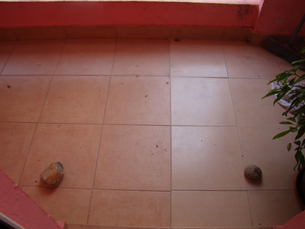 NVO Institut socijalne inkluzije: Policija da zaštiti romske porodice NVO Institut socijalne inkluzije: Policija da zaštiti romske porodice