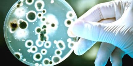 U Italiji hospitalizovan prvi pacijent zaražen koronavirusom U Italiji hospitalizovan prvi pacijent zaražen koronavirusom