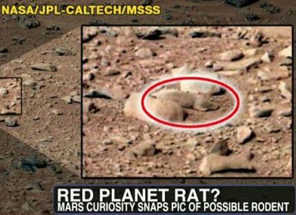 Što je otkrio Kjurioziti: "Miš sa Marsa" osvaja internet Što je otkrio Kjurioziti: "Miš sa Marsa" osvaja internet