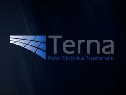 Direktor crnogorskog ogranka Terne Gabriele Manducio podnio ostavku Direktor crnogorskog ogranka Terne Gabriele Manducio podnio ostavku