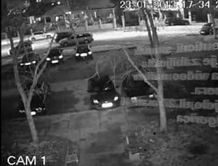 VIDEO: Trovač mačića sa Zabjela VIDEO: Trovač mačića sa Zabjela