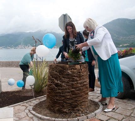 TO Tivat podijelila sugrađanima 200 sadnica begonije i kadife TO Tivat podijelila sugrađanima 200 sadnica begonije i kadife