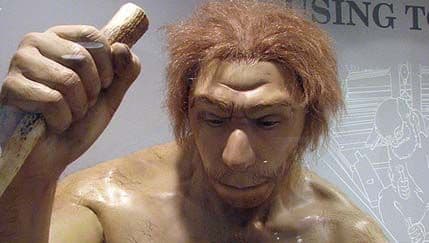 I neandertalci bolovali od raka kostiju I neandertalci bolovali od raka kostiju