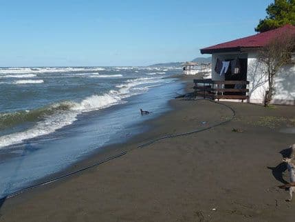 NVO MogUL:  Performans "Otvorite prolaz" na Adi  NVO MogUL:  Performans "Otvorite prolaz" na Adi