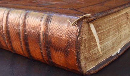 Pronađen dnevnik Hitlerovog saradnika Pronađen dnevnik Hitlerovog saradnika