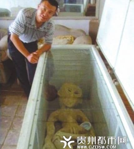 NLO se srušio u Kini, vanzemaljac završio u zamrzivaču? NLO se srušio u Kini, vanzemaljac završio u zamrzivaču?