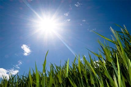 I sjutra sunčano I sjutra sunčano