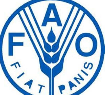 Rim: Obuka za planiranje upravljanja ribarstvom Rim: Obuka za planiranje upravljanja ribarstvom