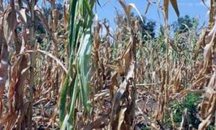 Komisija za procjenu štete: Oštećenima po 114 eura Komisija za procjenu štete: Oštećenima po 114 eura