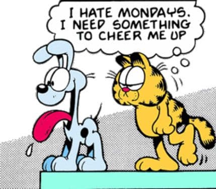 Garfild danas slavi tridesetpeti rođendan Garfild danas slavi tridesetpeti rođendan