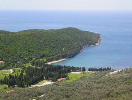 Perović: Maslinjak u Valdanosu vratiti stvarnim vlasnicima Perović: Maslinjak u Valdanosu vratiti stvarnim vlasnicima