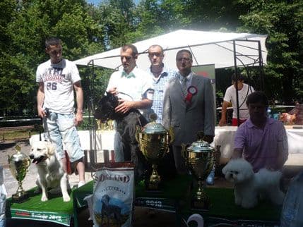 Dvostruka izložba pasa na Cetinju (FOTO) Dvostruka izložba pasa na Cetinju (FOTO)