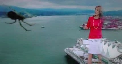 VIDEO: Voditeljku vremenske prognoze prestravio pauk na kameri VIDEO: Voditeljku vremenske prognoze prestravio pauk na kameri