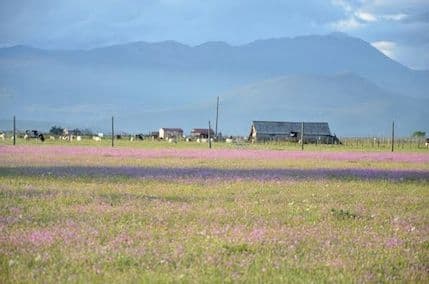 Čije su Kuće Rakića Čije su Kuće Rakića