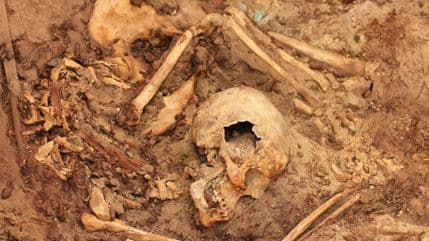 Izuzetno otkriće: Kraljevska grobnica u Peruu krije tajnu Vari carstva Izuzetno otkriće: Kraljevska grobnica u Peruu krije tajnu Vari carstva