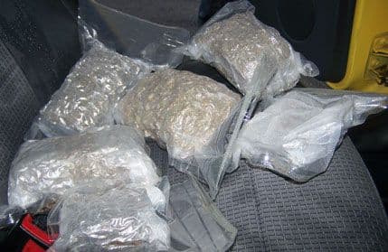 UP: Zaplijenjeno oko 2,5 kilograma skanka UP: Zaplijenjeno oko 2,5 kilograma skanka