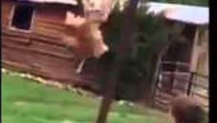 VIDEO: Dječak imitirajući NBA zvijezdu bacio kokošku u koš! VIDEO: Dječak imitirajući NBA zvijezdu bacio kokošku u koš!