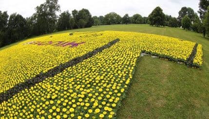 Borusijin dres od 80.645 cvjetova! Borusijin dres od 80.645 cvjetova!