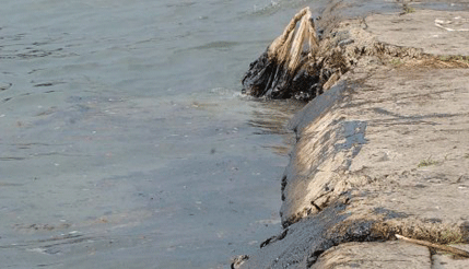 Hrvatska: Naftna mrlja na Dunavu Hrvatska: Naftna mrlja na Dunavu