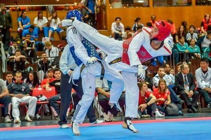 Tekvondo reprezentacija na SP Tekvondo reprezentacija na SP