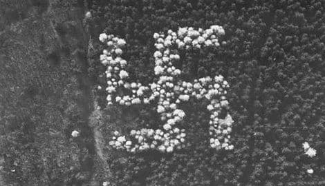 Misterija nastanka kukastih krstova u njemačkim šumama  Misterija nastanka kukastih krstova u njemačkim šumama