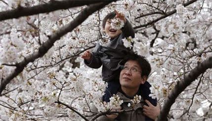 Ovo je budući japanski car Ovo je budući japanski car