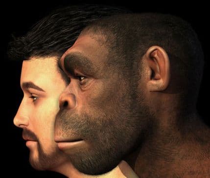 I danas govorimo jezikom neandertalaca starim milion godina? I danas govorimo jezikom neandertalaca starim milion godina?