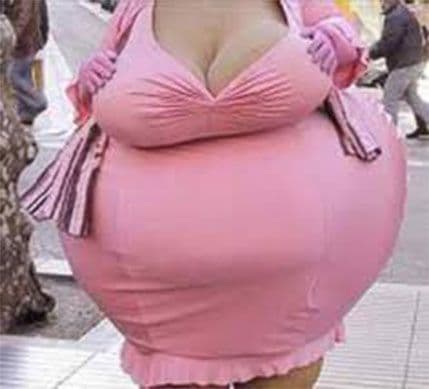 Neki to vole…debelo: U Japanu razbijen lanac prostitucije žena “over 150 kg” Neki to vole…debelo: U Japanu razbijen lanac prostitucije žena “over 150 kg”