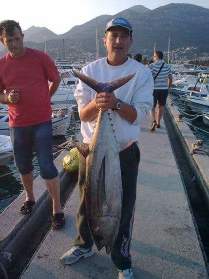 Ulovio pravi trofej: Rijetka dugokrila tuna od 15,5 kila Ulovio pravi trofej: Rijetka dugokrila tuna od 15,5 kila