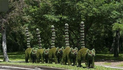 Pogledajte nevjerovatne skulpture od biljaka Pogledajte nevjerovatne skulpture od biljaka