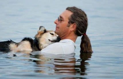 Uginuo Šep, pas koji je inspirisao svijet Uginuo Šep, pas koji je inspirisao svijet