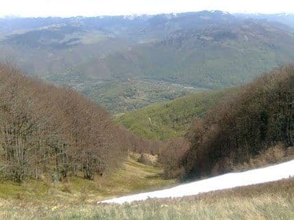 Trešnjevo: Jedna osoba poginula u saobraćajnoj nesreći Trešnjevo: Jedna osoba poginula u saobraćajnoj nesreći