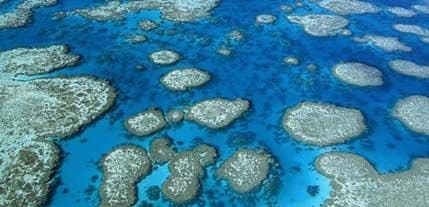 Američki vojni avioni ispustili bombe na Veliki koralni greben (VIDEO) Američki vojni avioni ispustili bombe na Veliki koralni greben (VIDEO)